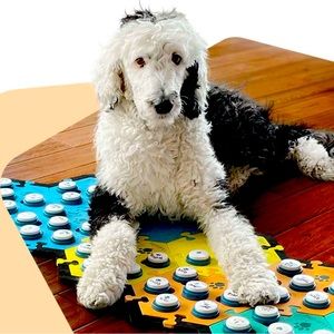 Talking Dog & Cat Customizable Buttons Kit | FLUENT PET